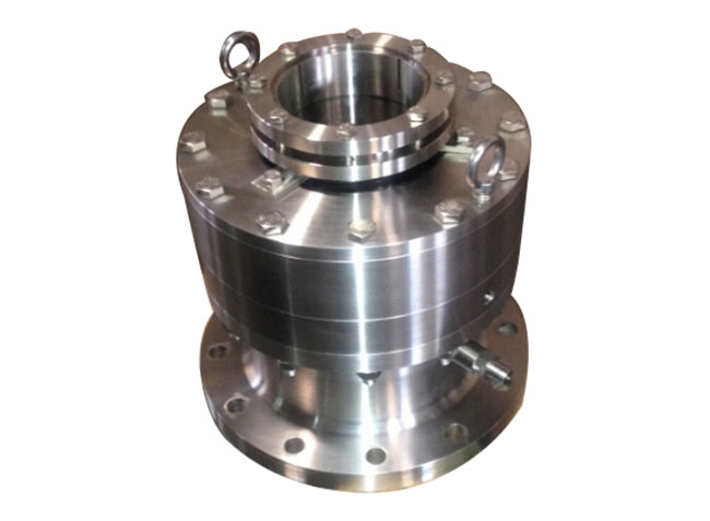 206型小蝌蚪网站在线观看